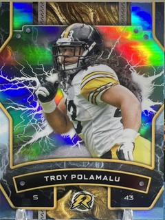 Troy Polamalu