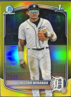 Nestor Miranda
