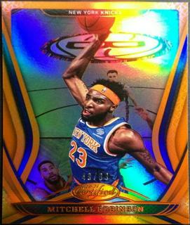 Mitchell Robinson