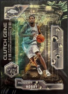 Robert Horry