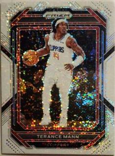 Terance Mann