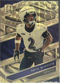 Nate Wiggins