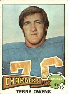 Terry Owens