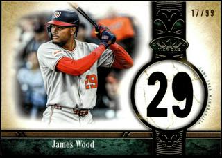 James Wood