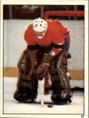 Rick Wamsley #37 Hockey Cards 1982 Topps Stickers