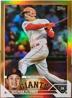 Wilmer Flores