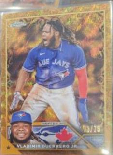 Vladimir Guerrero Jr.