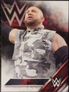 Bubba Ray Dudley #10 Wrestling Cards 2016 Topps WWE