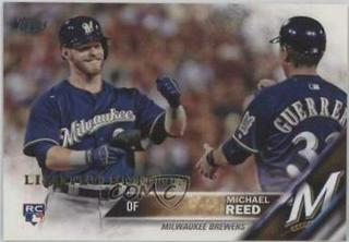Michael Reed