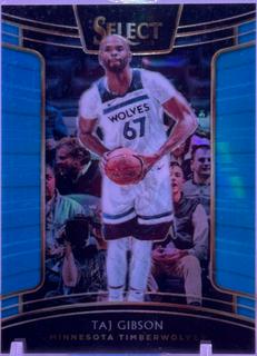 Taj Gibson