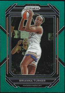 Brianna Turner