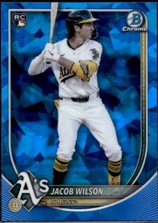 Jacob Wilson