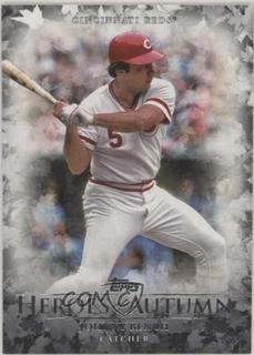 Johnny Bench