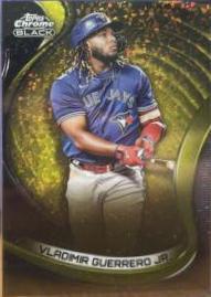 Vladimir Guerrero Jr.