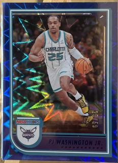 PJ Washington Jr.