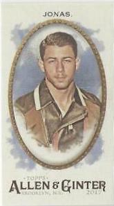 Nick Jonas [Mini] #214
