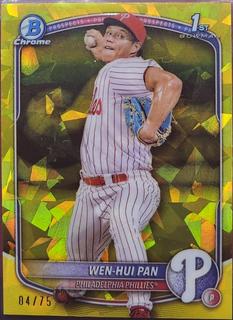Wen-Hui Pan