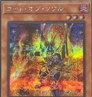 Code of Soul QCDB-JP006