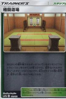 Martial Arts Dojo