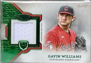 Gavin Williams