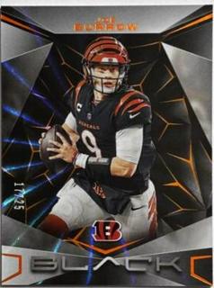 Joe Burrow