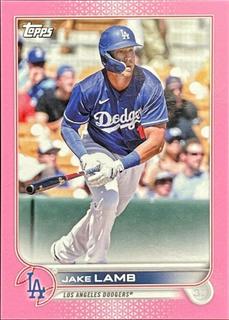 Jake Lamb