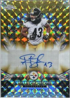 Troy Polamalu