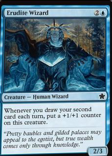 Erudite Wizard