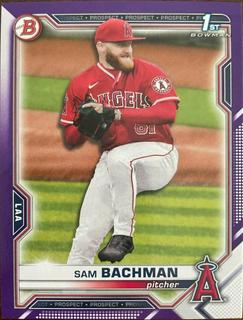 Sam Bachman
