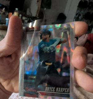 Bryce Harper