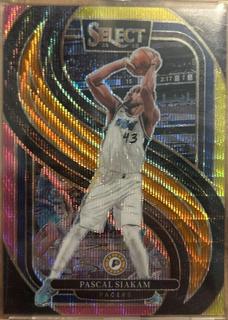 Pascal Siakam