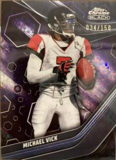 Michael Vick