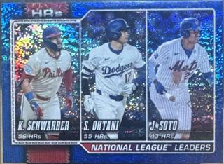National League Leaders HRs