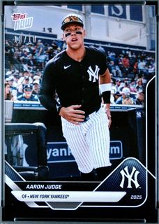 Aaron Judge