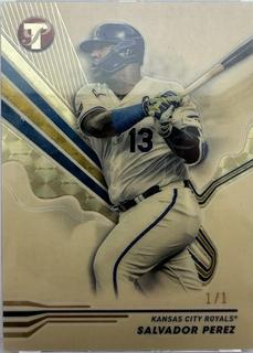 Salvador Perez