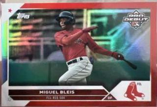 Miguel Bleis