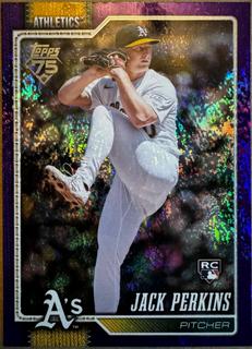 Jack Perkins