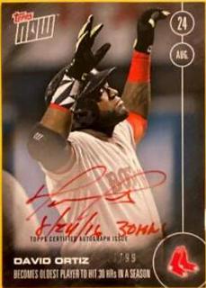 David Ortiz