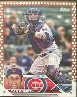 Yan Gomes