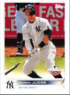 Aaron Judge
