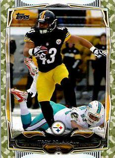 Troy Polamalu