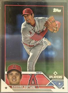 Shohei Ohtani