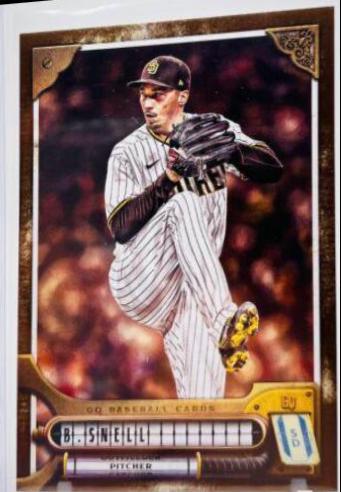 Blake Snell [Burnt Umber] #45