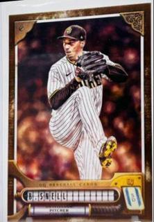 Blake Snell