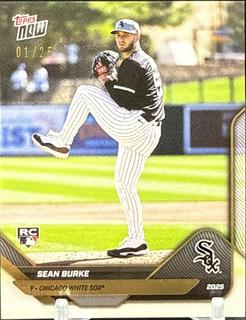Sean Burke