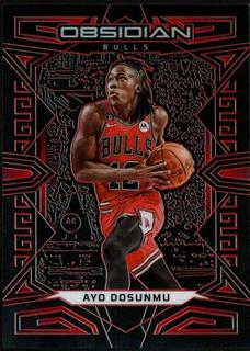 Ayo Dosunmu