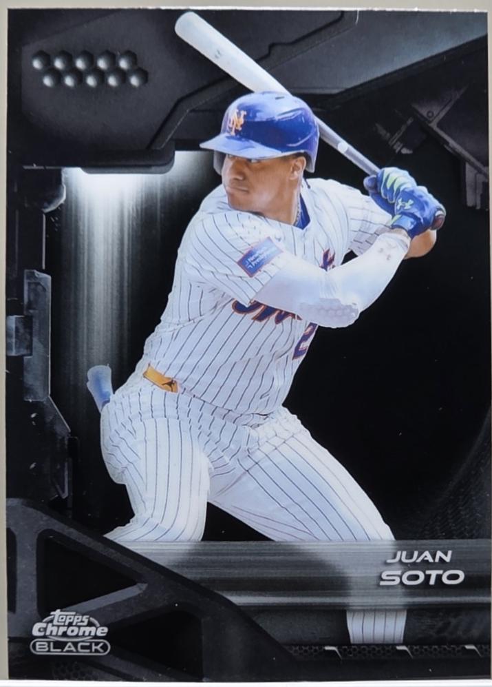 Juan Soto #6