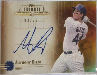 Anthony Rizzo