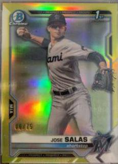 Jose Salas