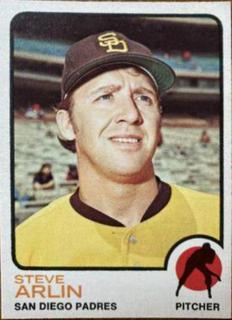 Steve Arlin